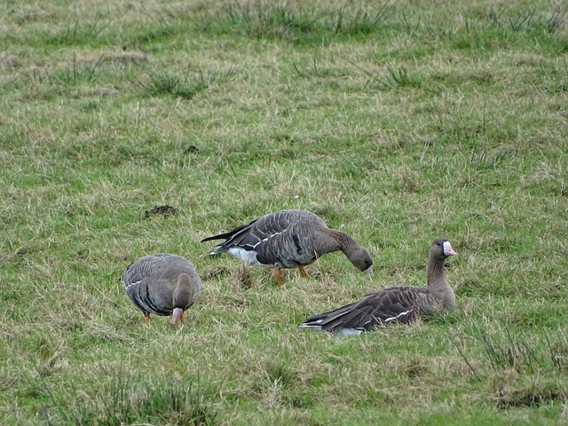 間的觀點和 間的觀點和