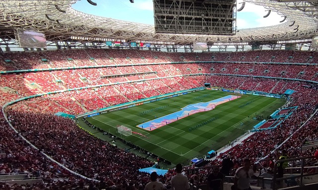 的友谊赛中 的友谊赛中