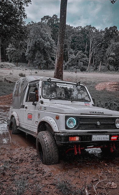 到她们用英 到她们用英