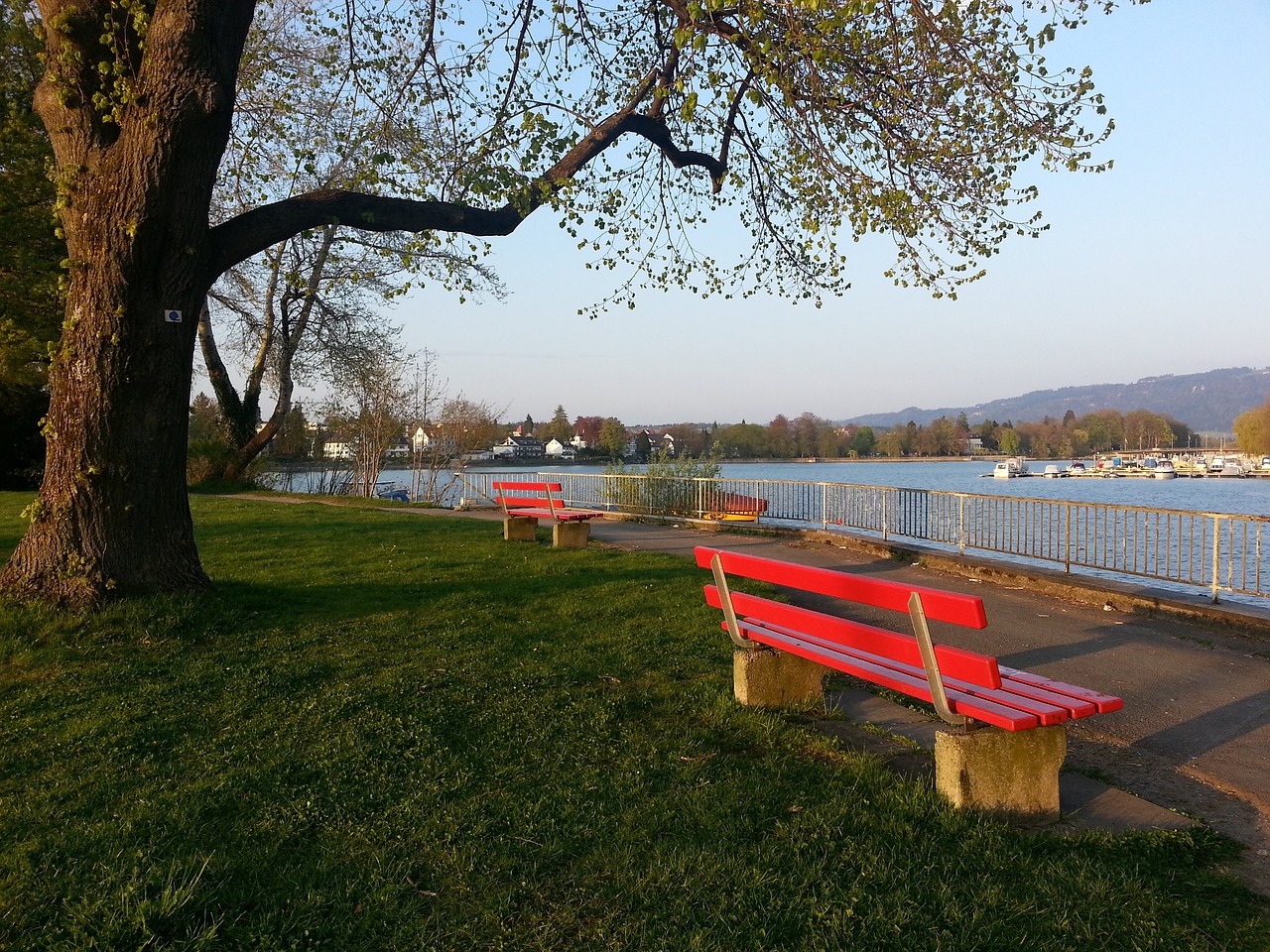 的深入调查 的深入调查