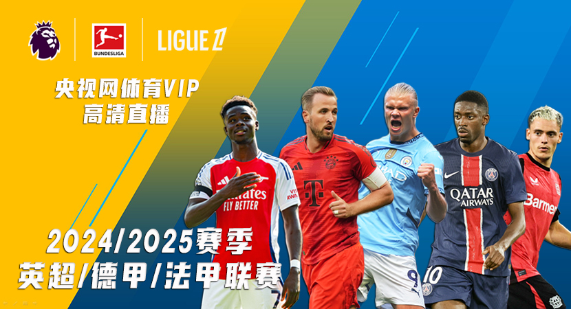 的进攻方式 的进攻方式