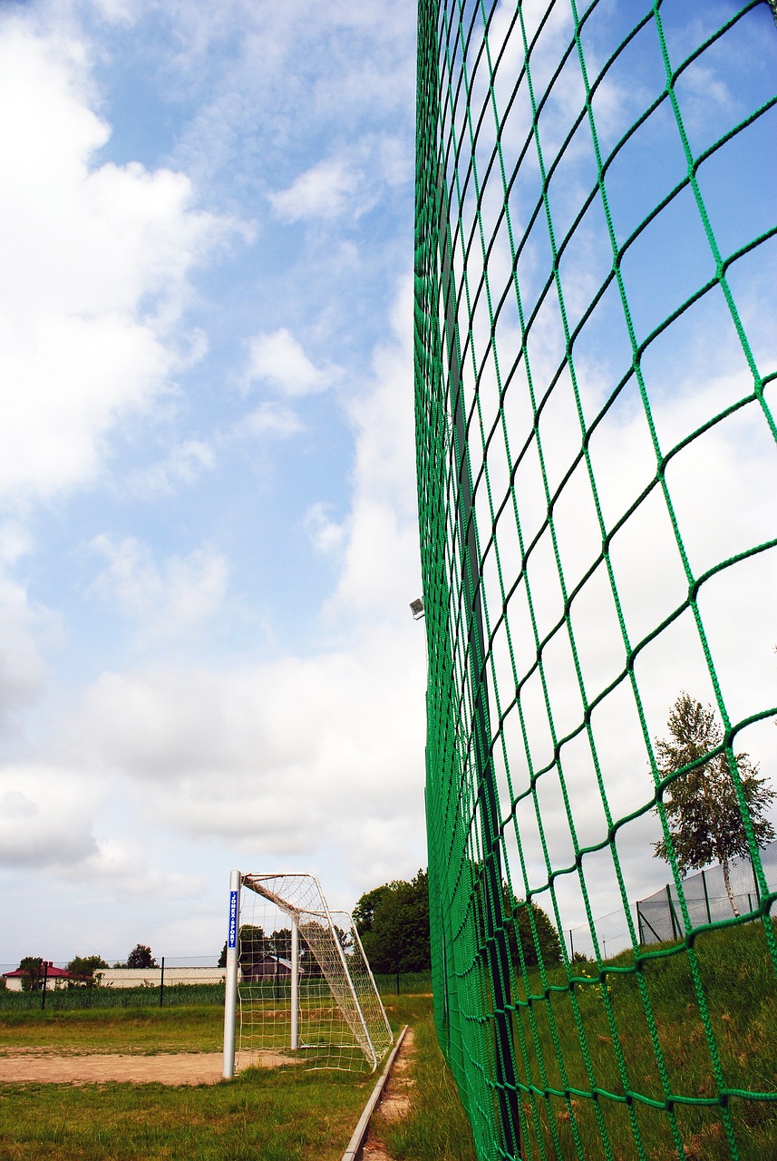 围内树立了 围内树立了