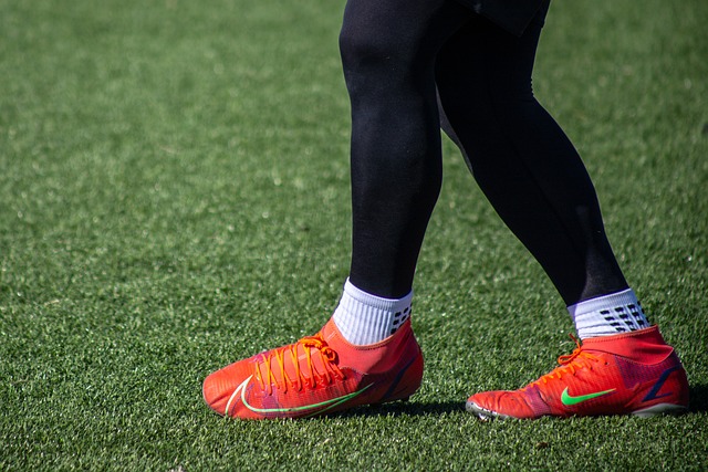 中华人民共 中华人民共